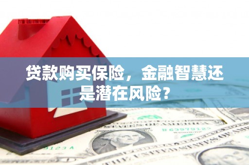 通山贷款购买保险，金融智慧还是潜在风险？