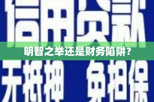通山明智之举还是财务陷阱？