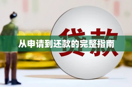 通山从申请到还款的完整指南