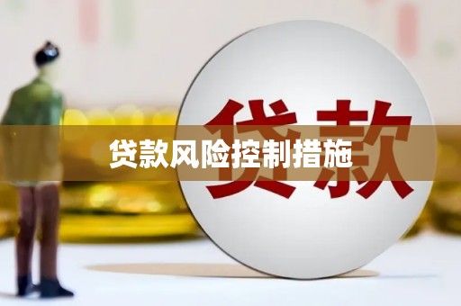 通山贷款风险控制措施