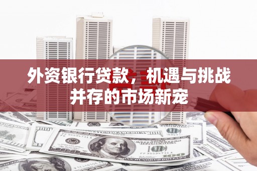 通山外资银行贷款，机遇与挑战并存的市场新宠