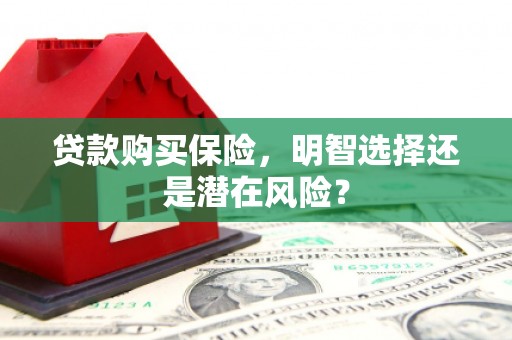 通山贷款购买保险，明智选择还是潜在风险？