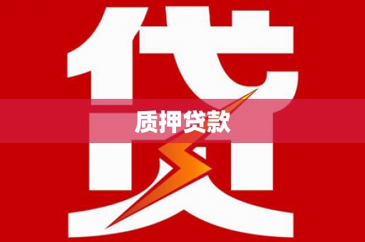 通山质押贷款