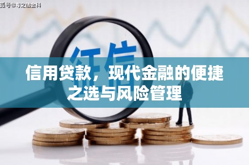 通山信用贷款，现代金融的便捷之选与风险管理