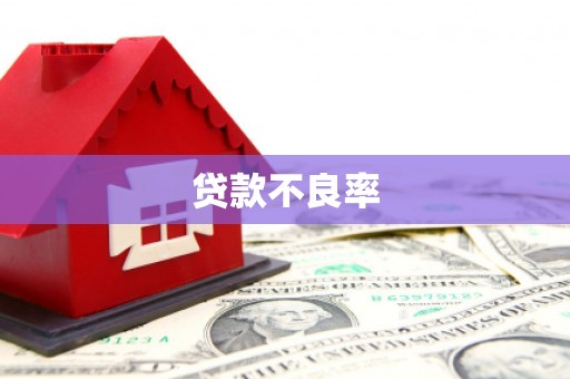 通山贷款不良率