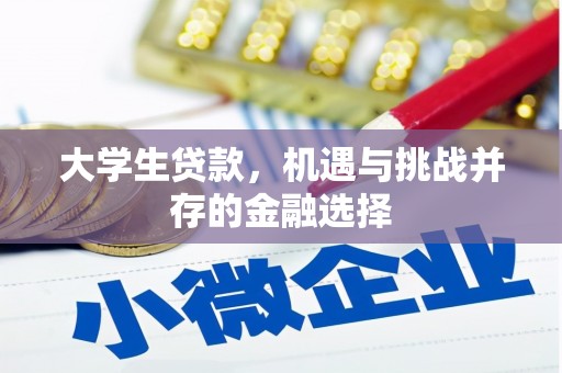 通山大学生贷款，机遇与挑战并存的金融选择