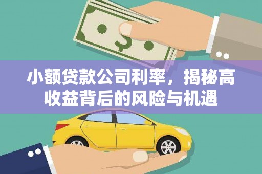 通山小额贷款公司利率，揭秘高收益背后的风险与机遇