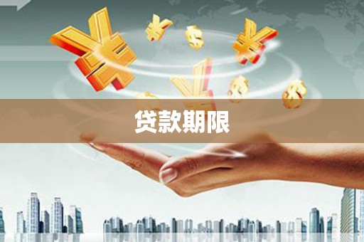 通山贷款期限