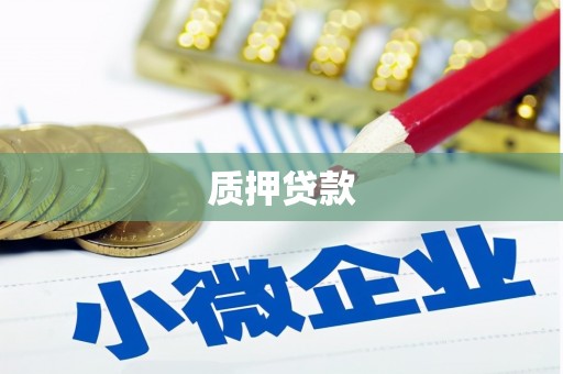通山质押贷款