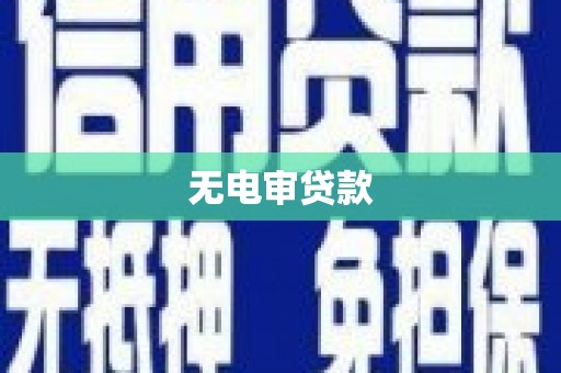 通山无电审贷款