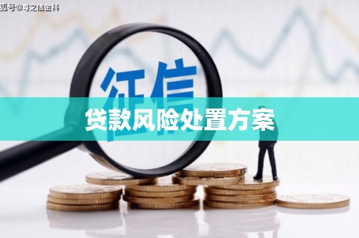 通山贷款风险处置方案