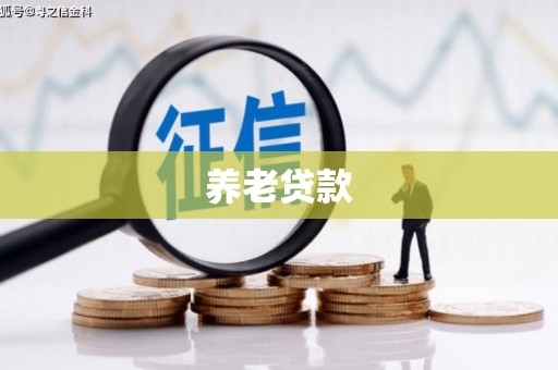 通山养老贷款