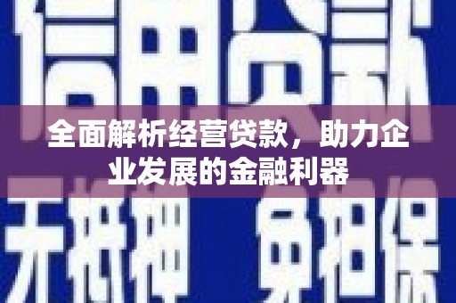 通山全面解析经营贷款，助力企业发展的金融利器