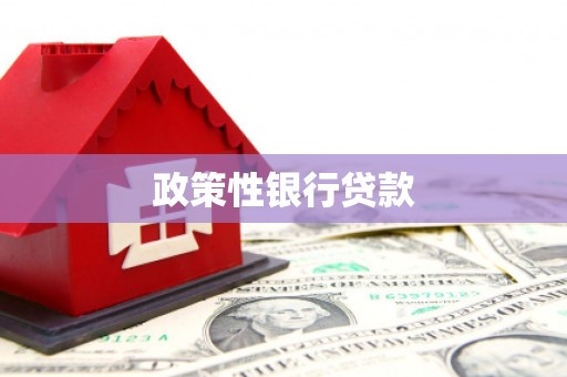 通山政策性银行贷款