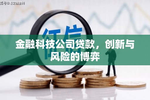 通山金融科技公司贷款，创新与风险的博弈