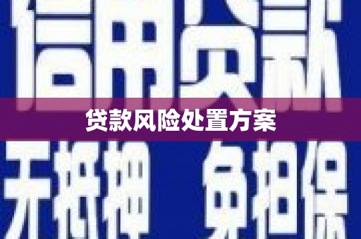 通山贷款风险处置方案