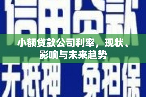 通山小额贷款公司利率，现状、影响与未来趋势