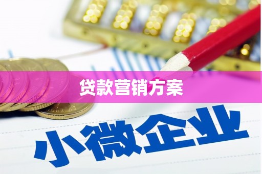 通山贷款营销方案