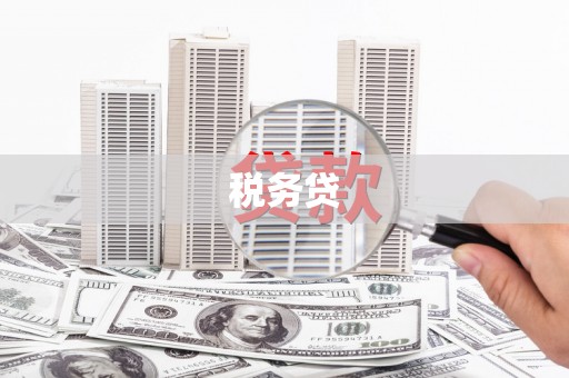通山税务贷