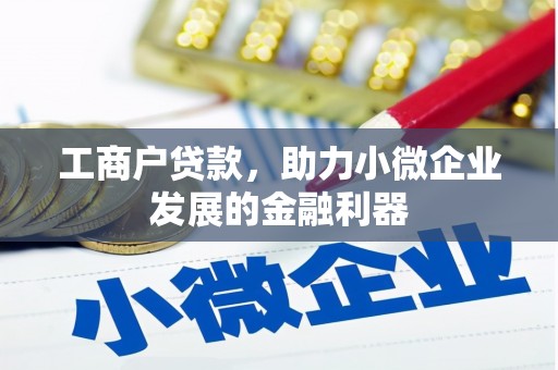 通山工商户贷款，助力小微企业发展的金融利器