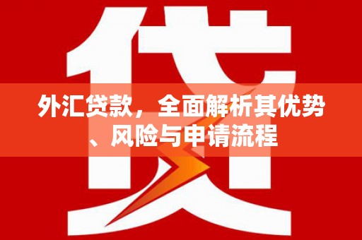 通山外汇贷款，全面解析其优势、风险与申请流程