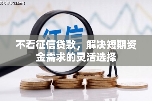 通山不看征信贷款，解决短期资金需求的灵活选择
