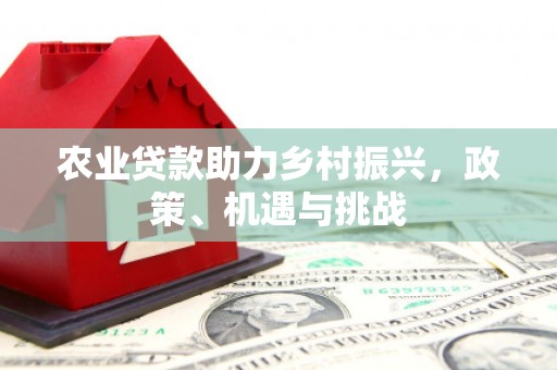 通山农业贷款助力乡村振兴，政策、机遇与挑战