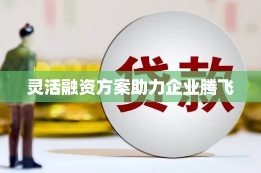 通山灵活融资方案助力企业腾飞