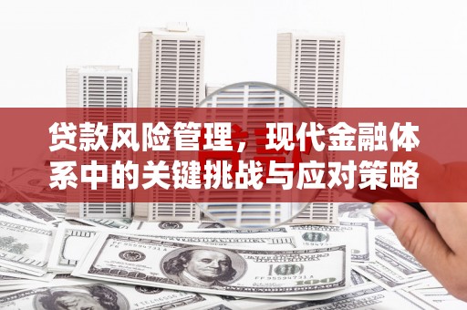 通山贷款风险管理，现代金融体系中的关键挑战与应对策略