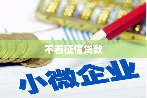 通山不看征信贷款