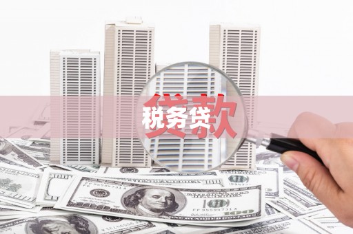 通山税务贷