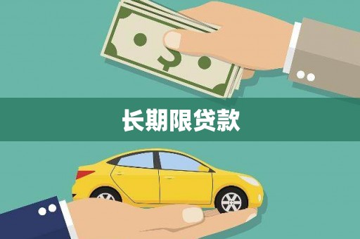 通山长期限贷款