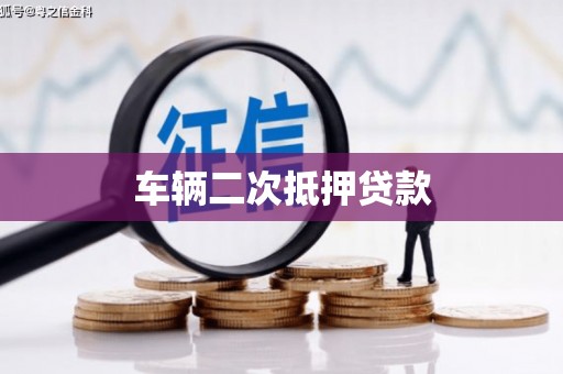 通山车辆二次抵押贷款
