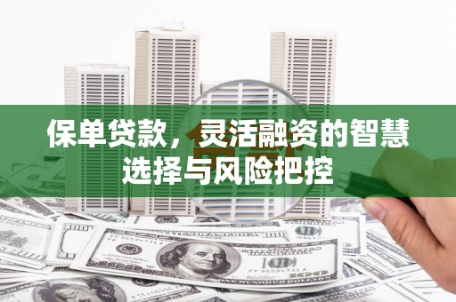 通山保单贷款，灵活融资的智慧选择与风险把控