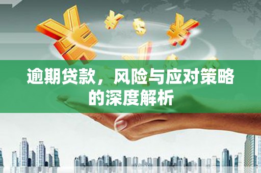 通山逾期贷款，风险与应对策略的深度解析