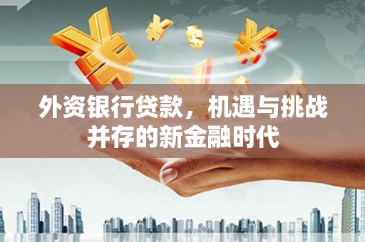 通山外资银行贷款，机遇与挑战并存的新金融时代