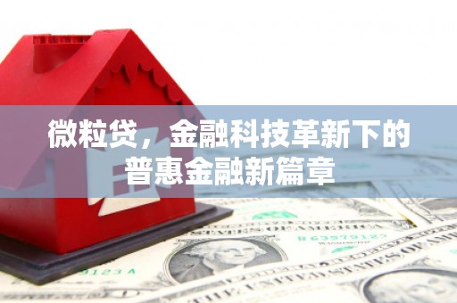 通山微粒贷，金融科技革新下的普惠金融新篇章