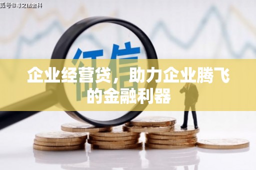 通山企业经营贷，助力企业腾飞的金融利器