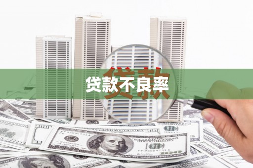 通山贷款不良率