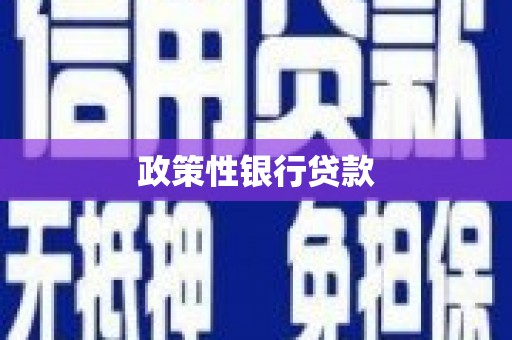 通山政策性银行贷款