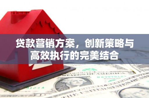 通山贷款营销方案，创新策略与高效执行的完美结合