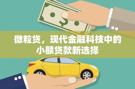 通山微粒贷，现代金融科技中的小额贷款新选择