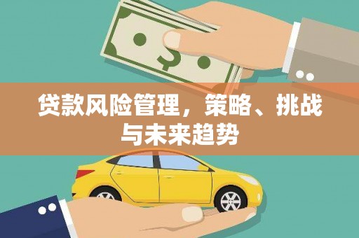 通山贷款风险管理，策略、挑战与未来趋势