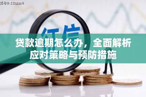 通山贷款逾期怎么办，全面解析应对策略与预防措施
