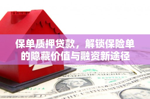 通山保单质押贷款，解锁保险单的隐藏价值与融资新途径