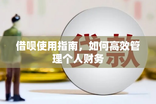 通山借呗使用指南，如何高效管理个人财务