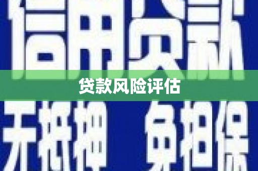 通山贷款风险评估