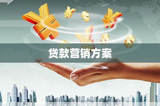通山贷款营销方案