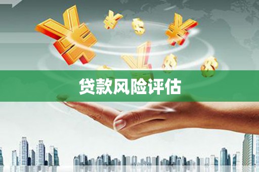 通山贷款风险评估