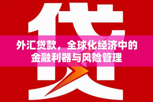 通山外汇贷款，全球化经济中的金融利器与风险管理